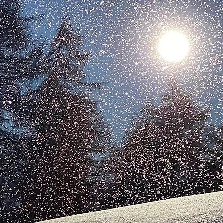 Panorama 20, Grosses Studio, Nahe Ski-pisten, Parkplatz 아파트